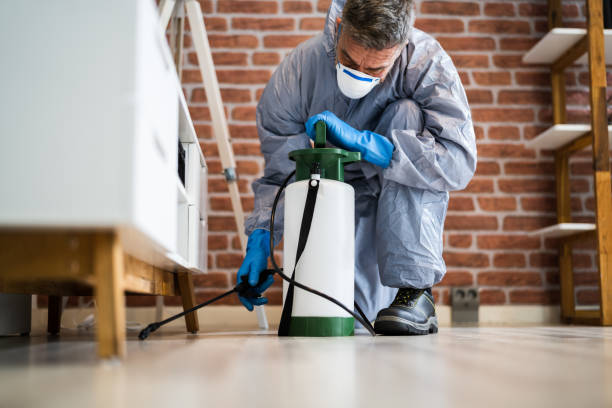 Best Fumigation Services  in Wadley, GA